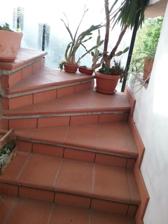 Appartamento RELAX Terni Esterno foto
