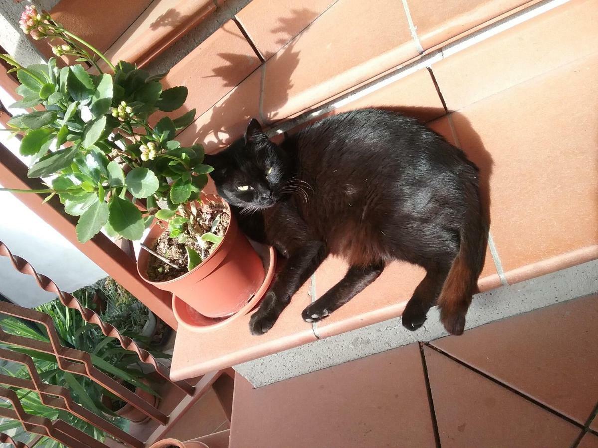 Appartamento RELAX Terni Esterno foto
